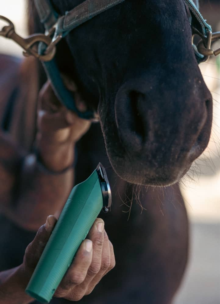 Compton Cowboys person clipping horse with Vida clipper