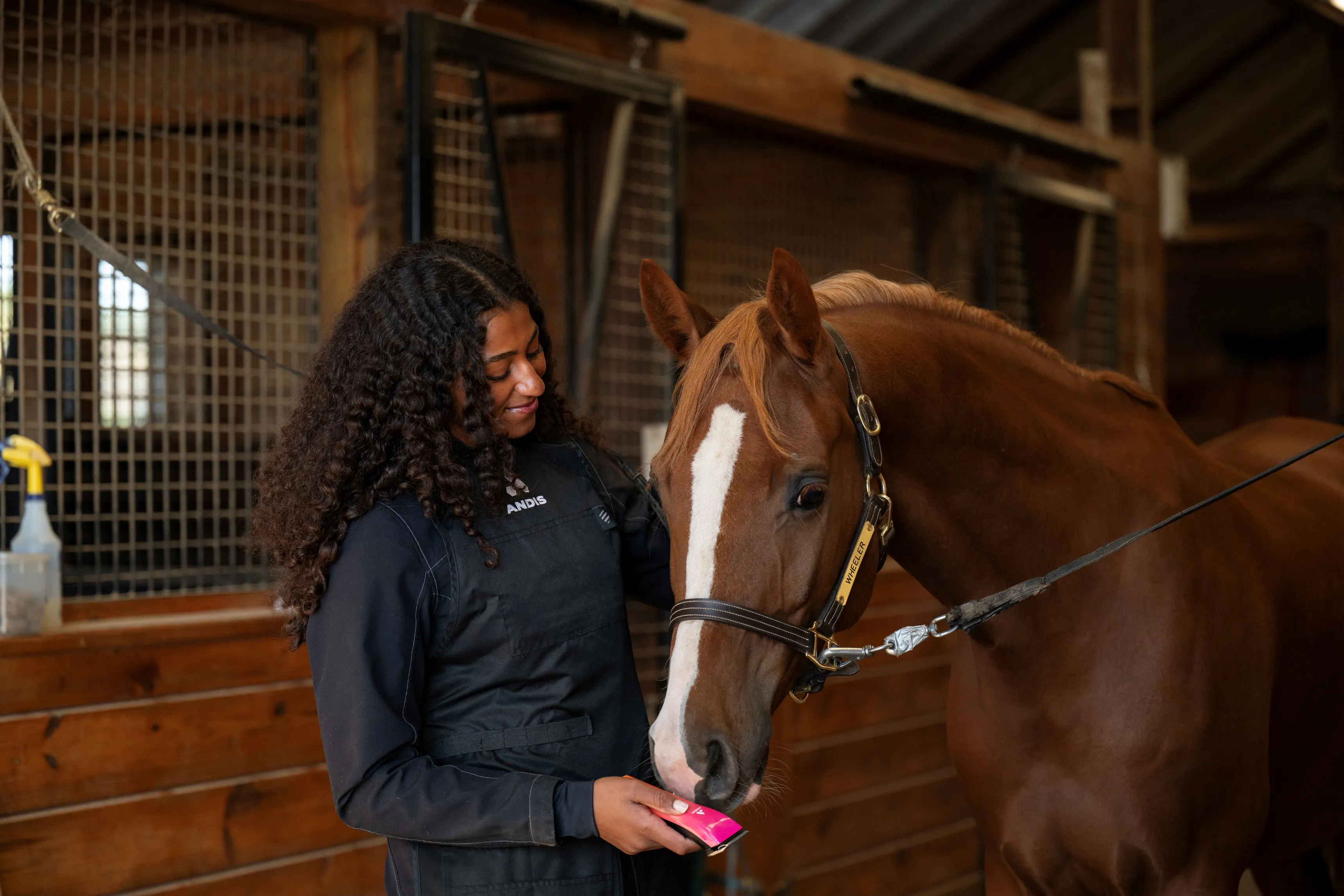 Woman holding an Andis clipper next to a horse.